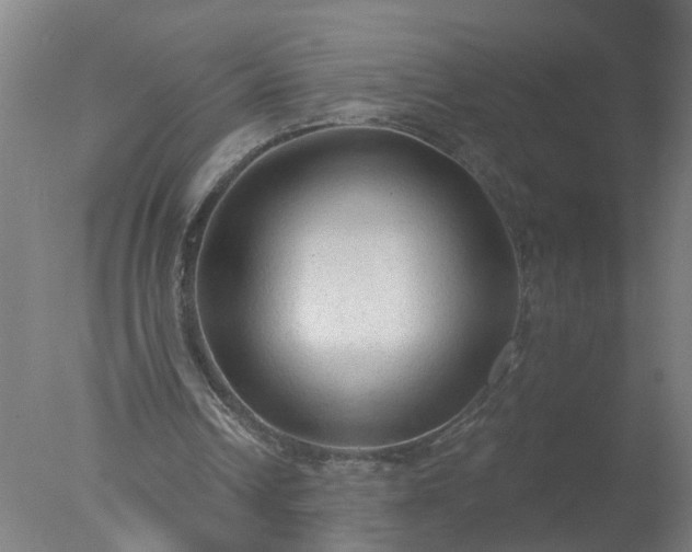 X0000077410242200610272112
