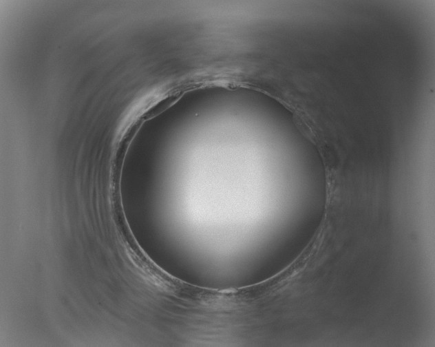 X0000077410293200610272112