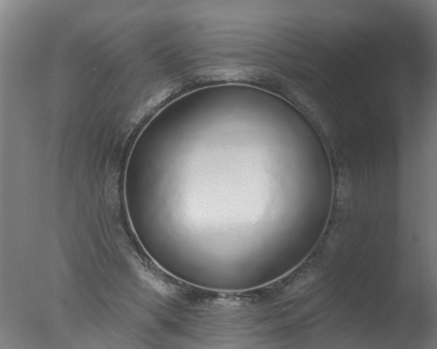 X0000077410394200610272110