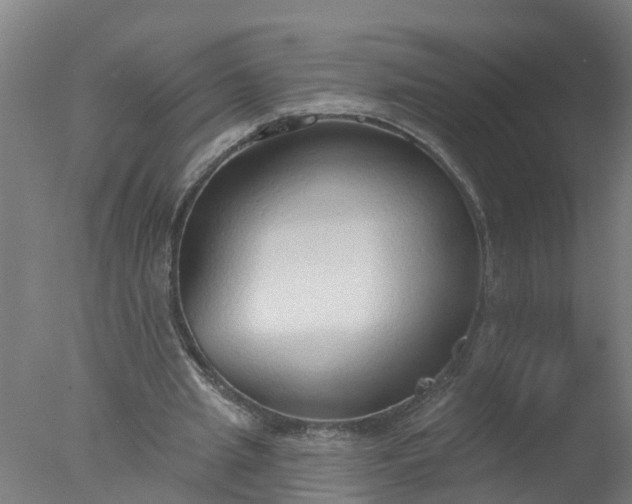 X0000077410437200610272109