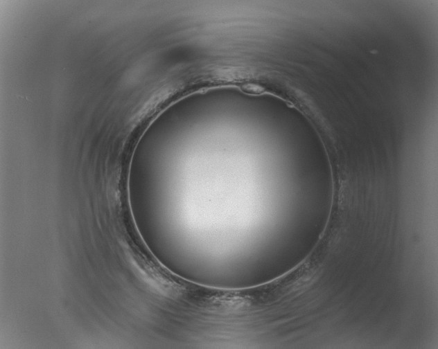 X0000077410443200610272109