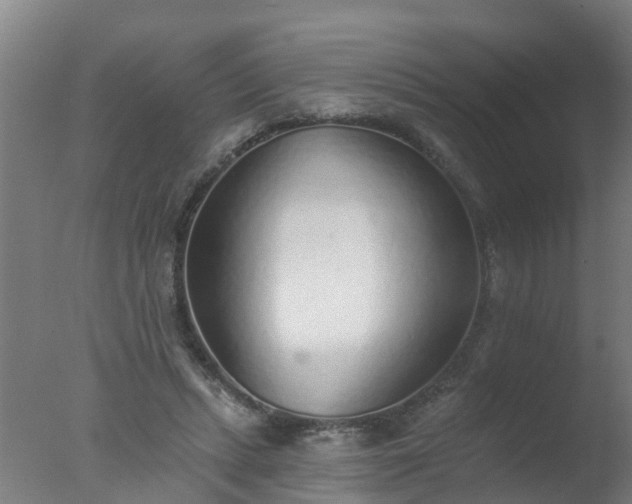 X0000077410447200610272109