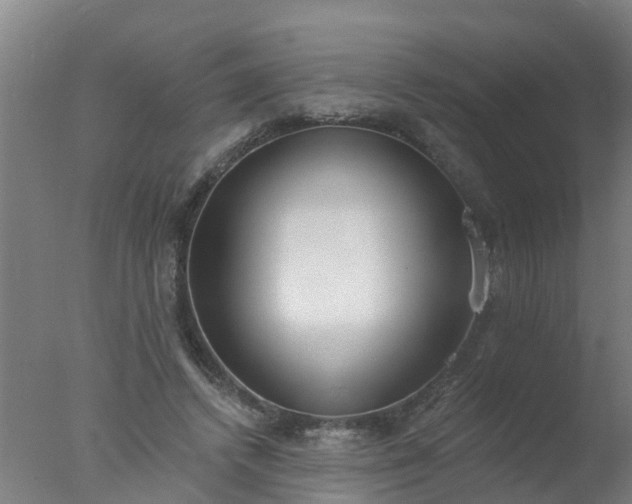 X0000077410448200610272109