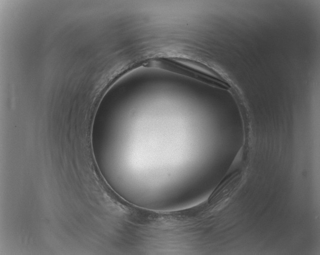 X0000077410481200610272109