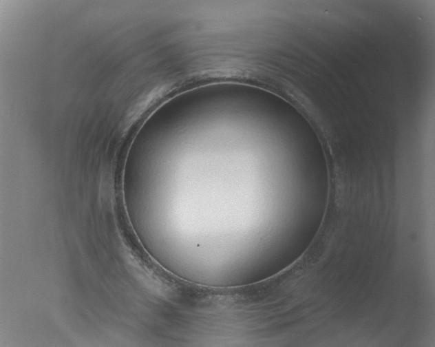 X0000077410482200610272109