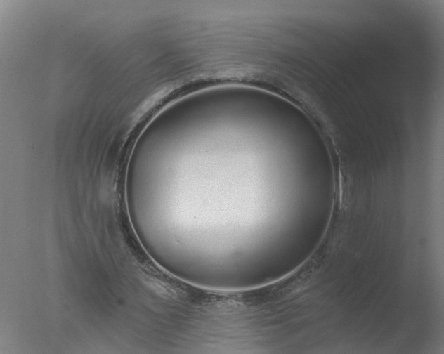 X0000077410483200610272109