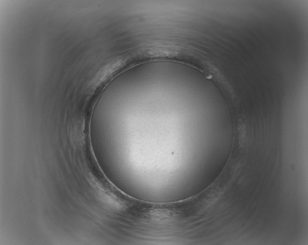 X0000077410490200610272108