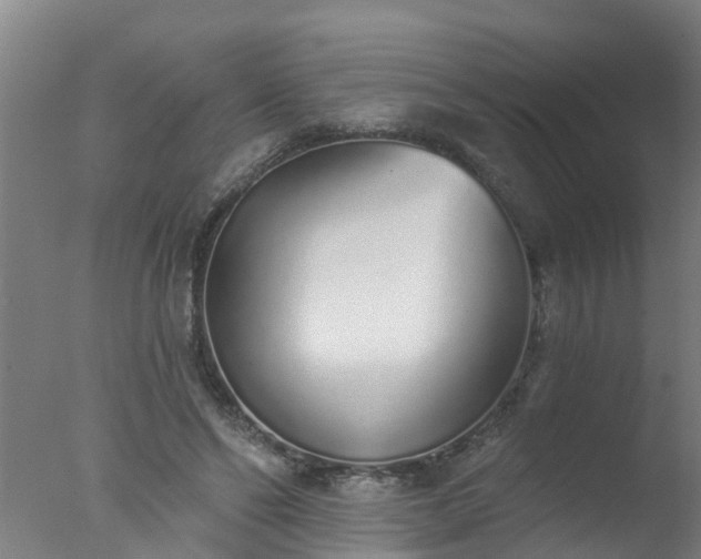 X0000077410494200610272108