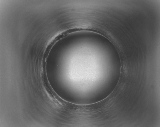 X0000077410532200610272107