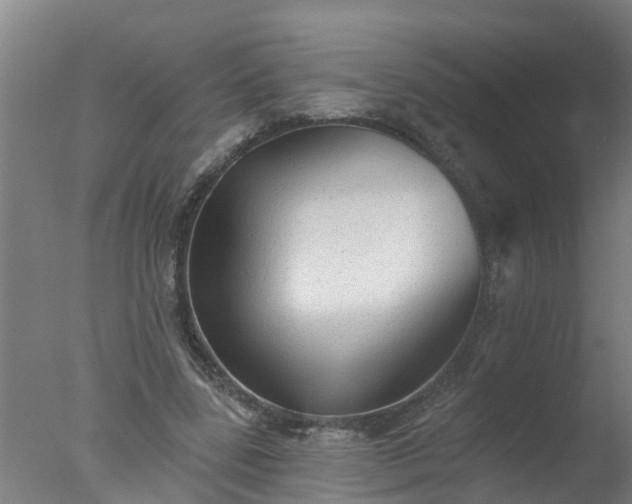 X0000077410539200610272107
