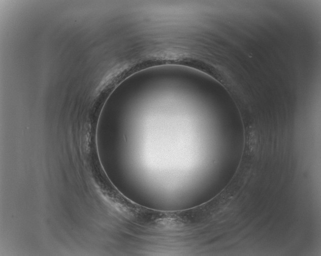 X0000077410544200610272107