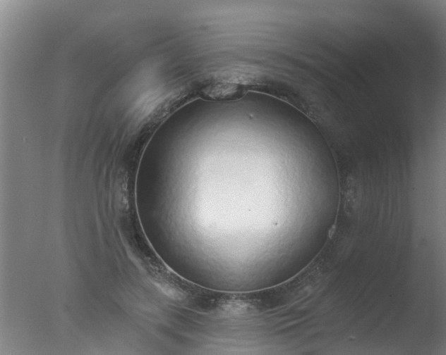 X0000077410547200610272107