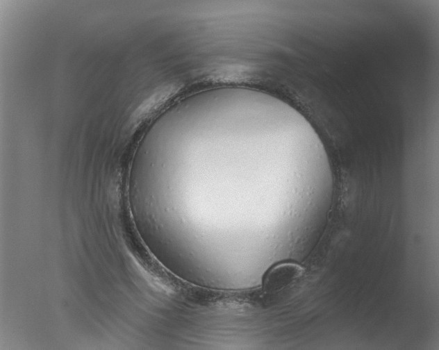 X0000077410586200610272107