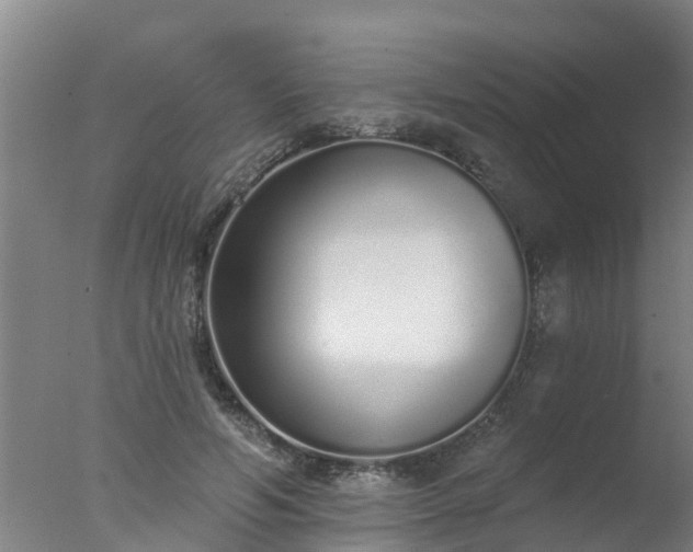 X0000077410594200610272107