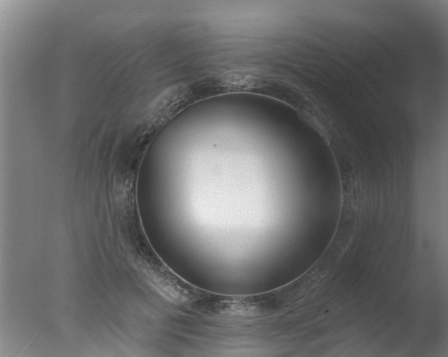 X0000077410601200610272107