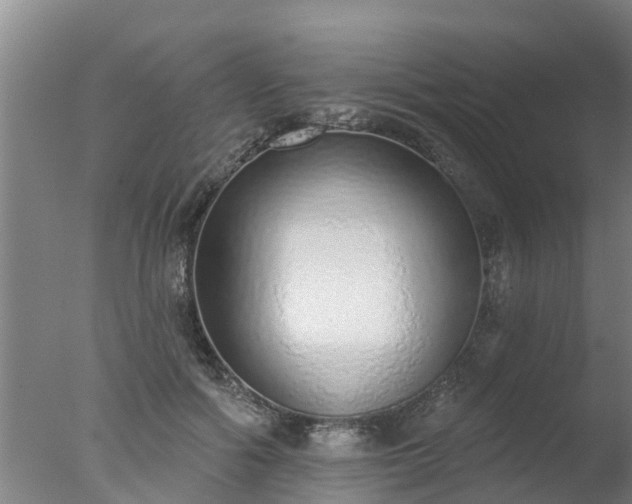 X0000077410602200610272107