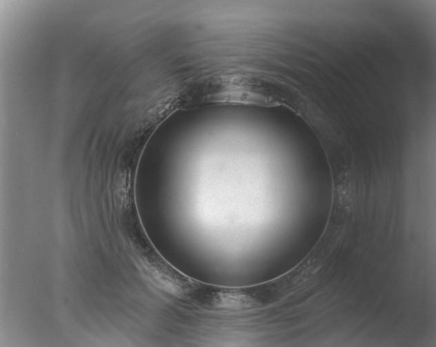 X0000077410605200610272106
