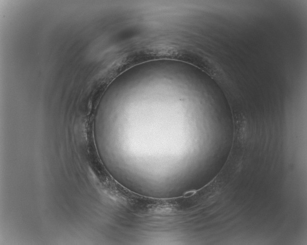 X0000077410643200610272106