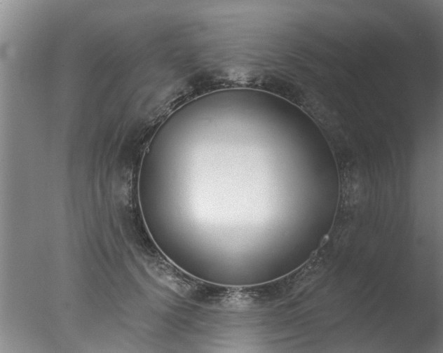 X0000077410656200610272106