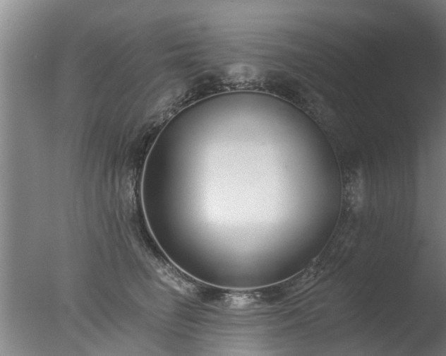 X0000077410662200610272106