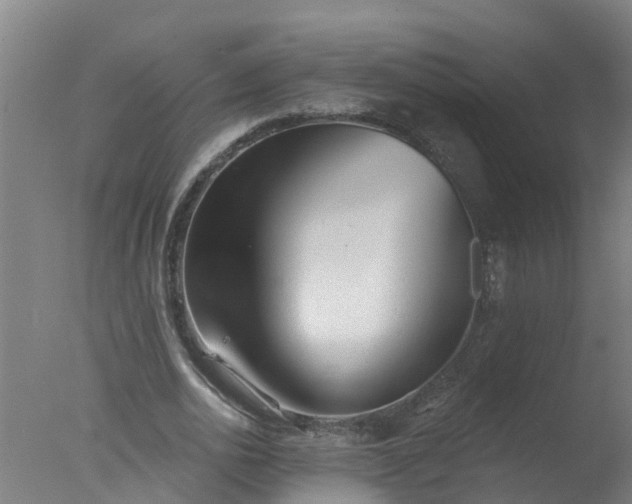 X0000077410726200610272104
