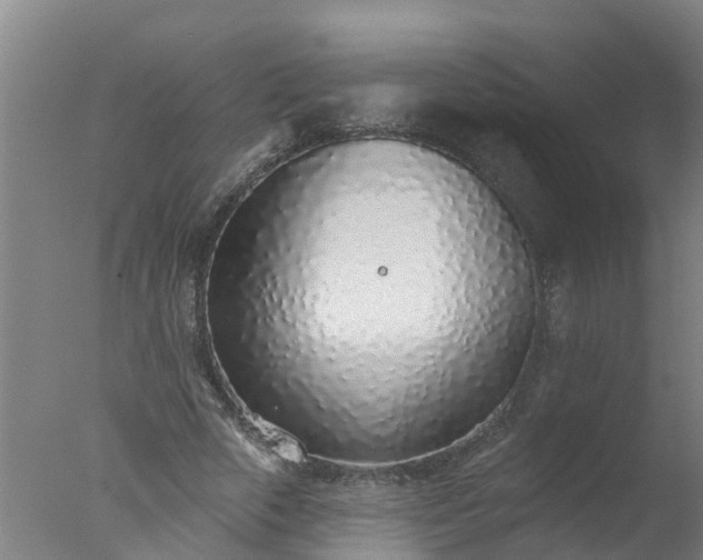 X0000077410729200610272104