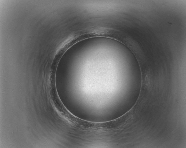 X0000077410730200610272104