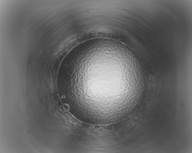 X0000077410774200610272104