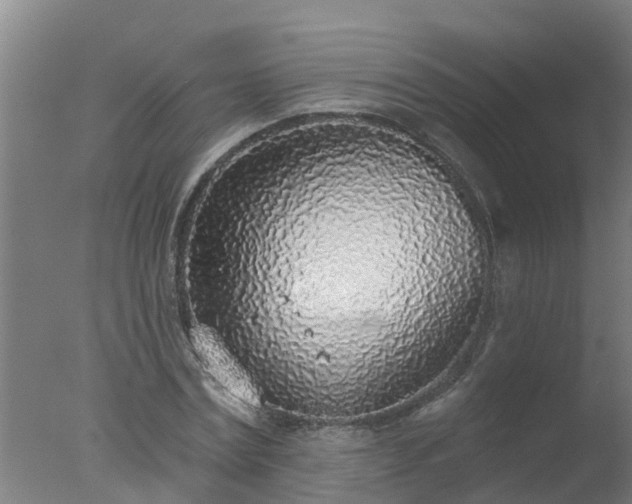 X0000077410779200610272104