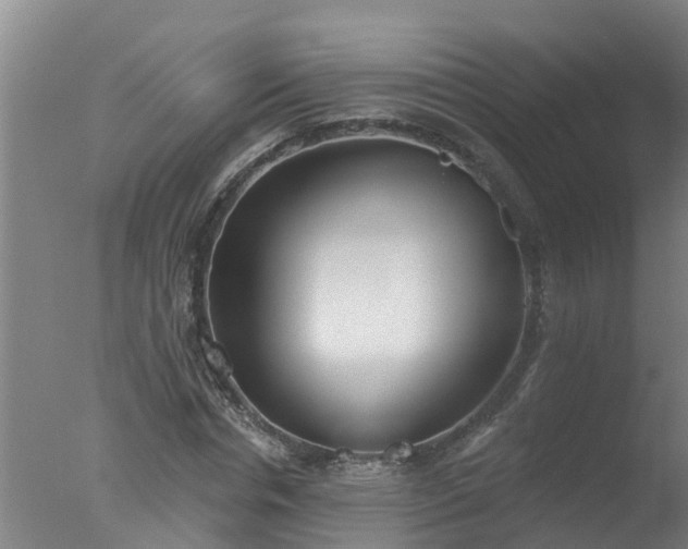 X0000077410826200610272102