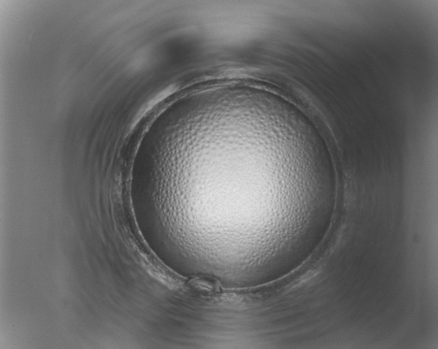 X0000077410827200610272102