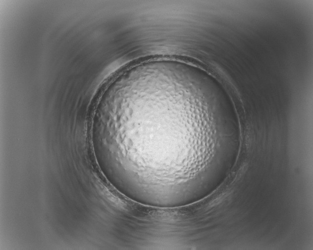 X0000077410831200610272102