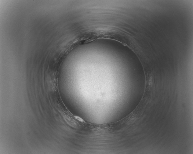 X0000077410868200610272102