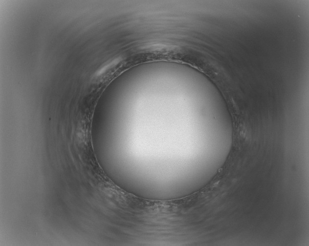 X0000077410869200610272102