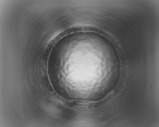 X0000077410871200610272102