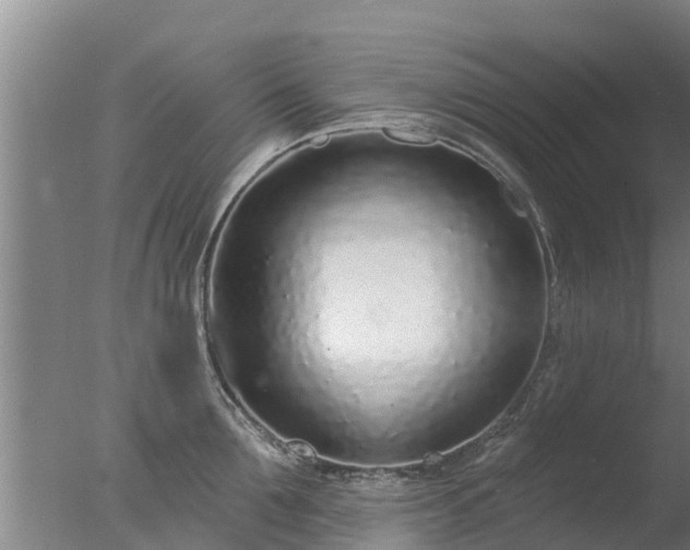 X0000077410907200610272101