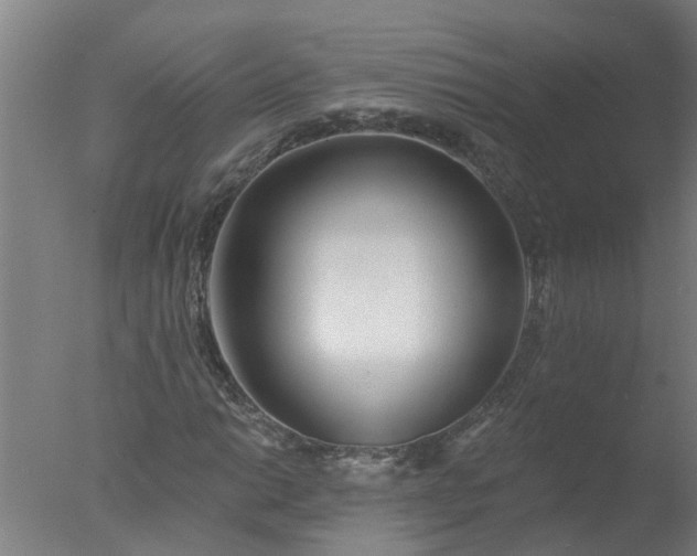 X0000077411014200610272059