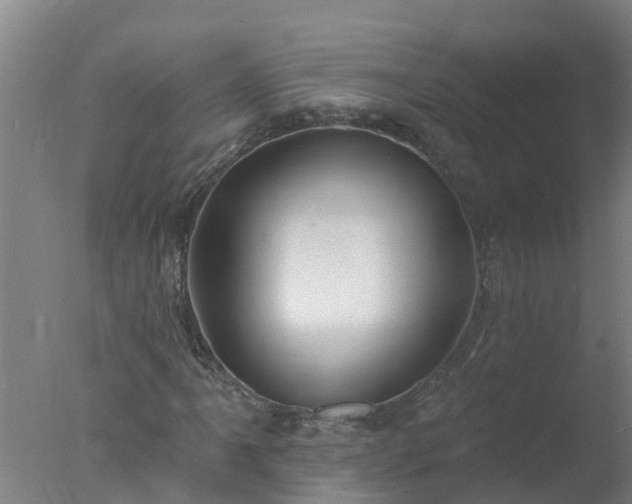 X0000077411061200610272059