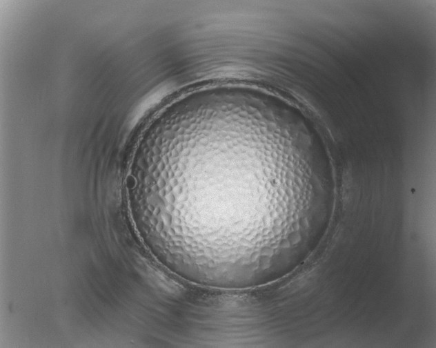 X0000077411067200610272059