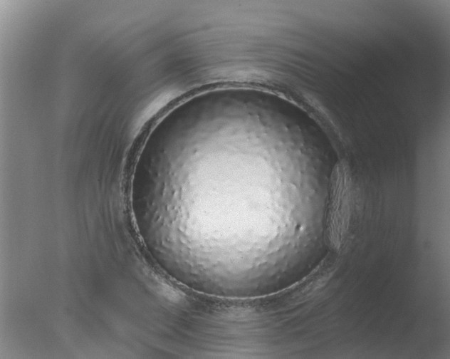 X0000077411071200610272059