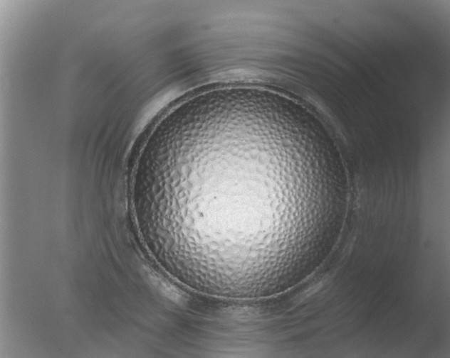 X0000077411075200610272059