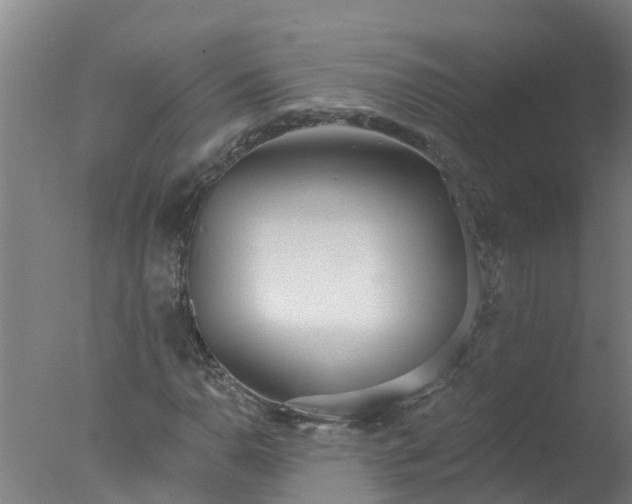 X0000077411110200610272057