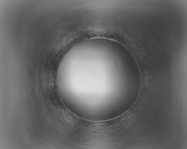 X0000077411253200610272056