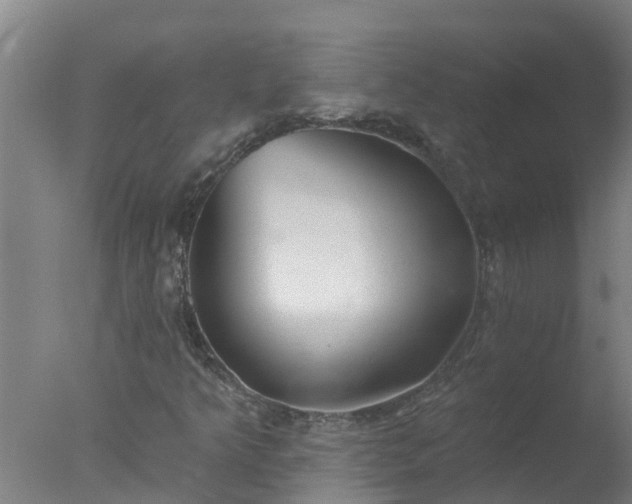 X0000077411349200610272054