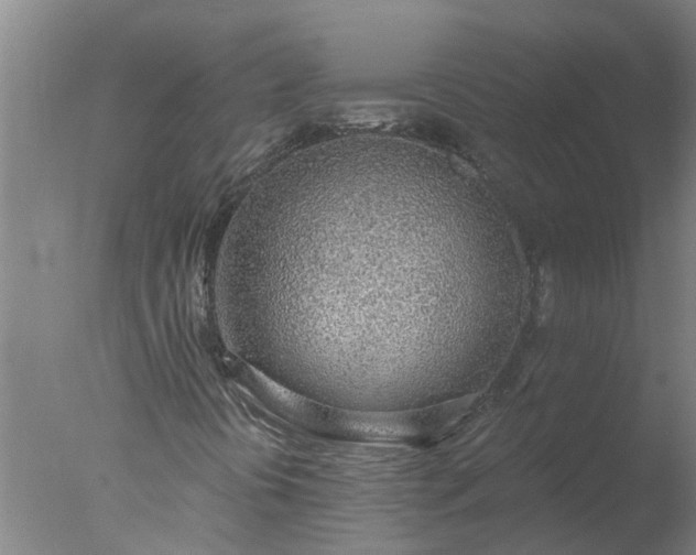 X0000077411394200610272052