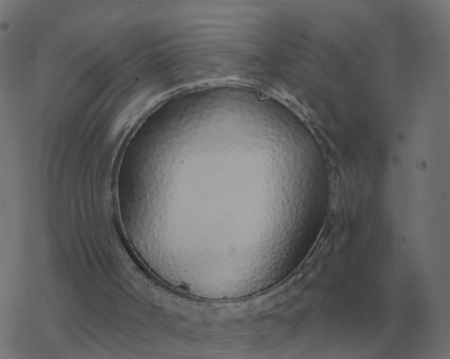 X0000077410002200611032103