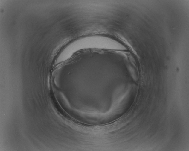 X0000077410019200611032103