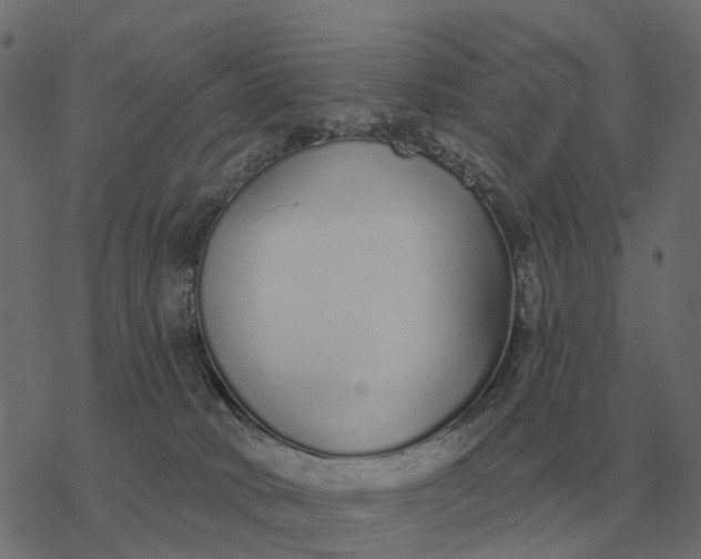 X0000077410034200611032102