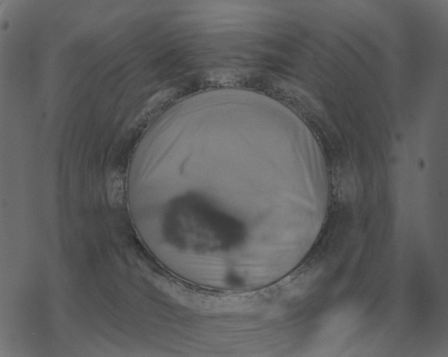 X0000077410036200611032102