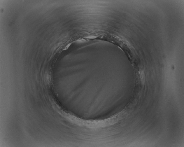 X0000077410039200611032102